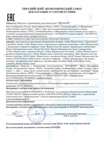 Lillian (Лиллиан) 5л PET, Жидкое мыло с ароматом морской свежести фото 2