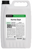 Karina Sept (Карина Септ) 5л, Жидкое бактерицидное мыло