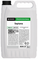 Septana (Септана) 5л, Антибактериальный гель